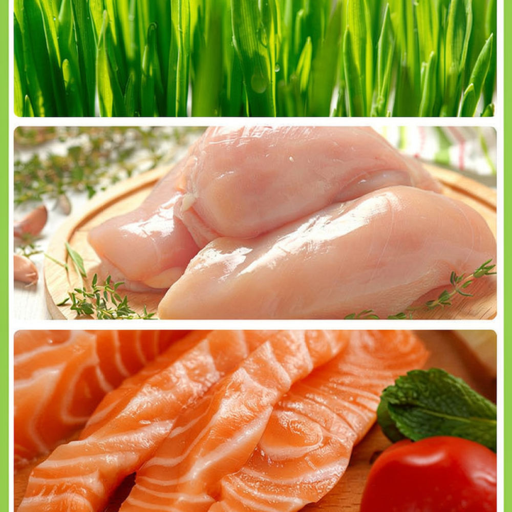 Bouchées de herbe à chat lyoph - Healthy Snacks Food avis et prix