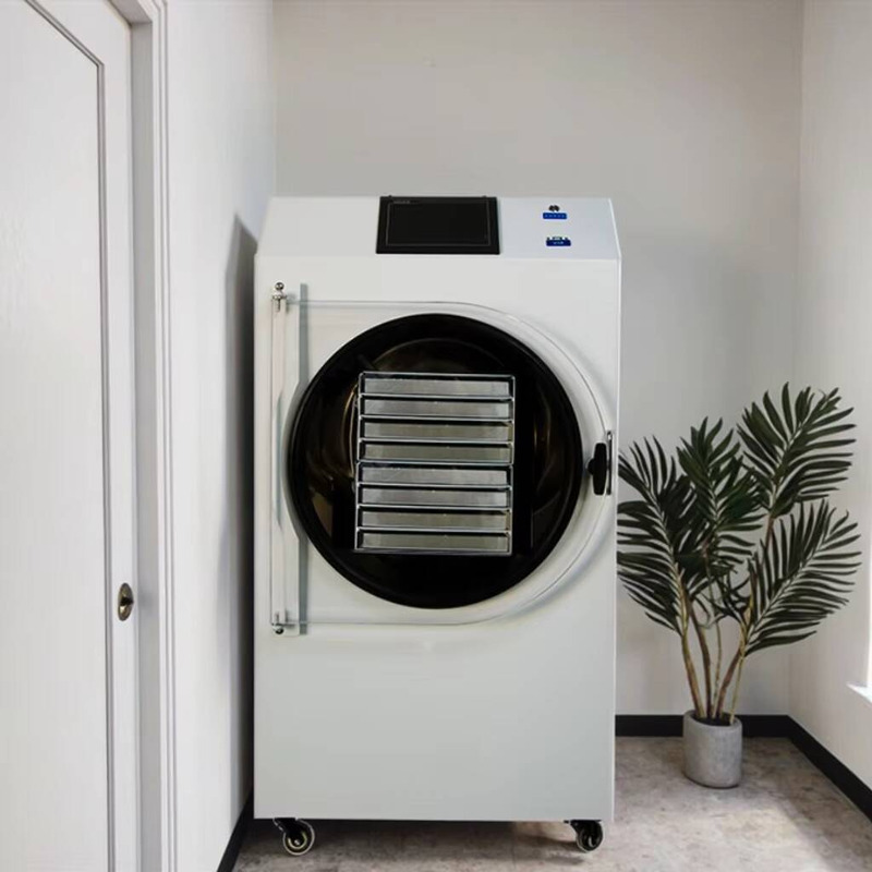 Machine de séchage automatique - Dried Fruit avis et prix