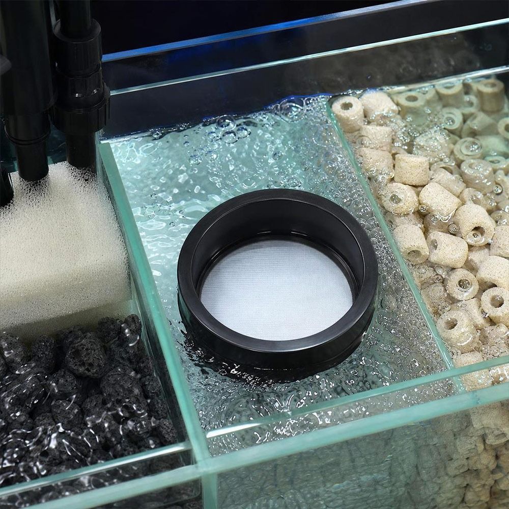 Filtre d'aquarium en PVC, mail - Seaweed Snack avis et prix